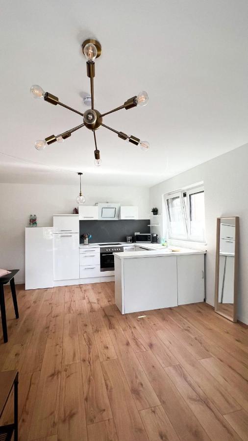 2 Zkb Apartment In Mannheim Kueche - Parken - Grosser Tv المظهر الخارجي الصورة
